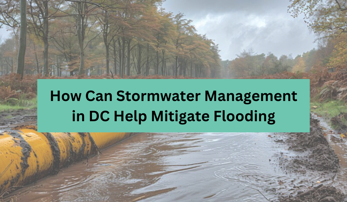 How Can Stormwater Management in DC Help Mitigate Flooding - Sera ...